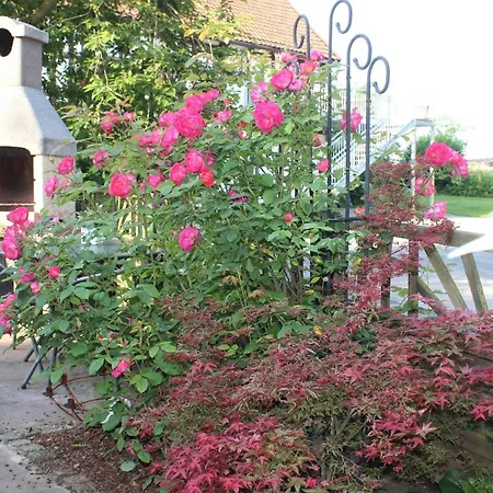 Ferienwohnung-lavendel-park *